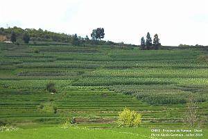 080 - Shaxi